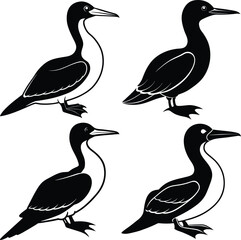 Black Gannet Bird Silhouette Vector Icon Set Crisp & Clear Design.