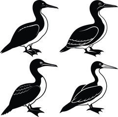 Download Gannet Silhouette Vector Icon Set Sharp & Professional.
