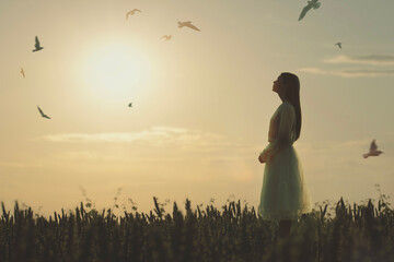 woman at sunset serenely watches the birds flying in the sky