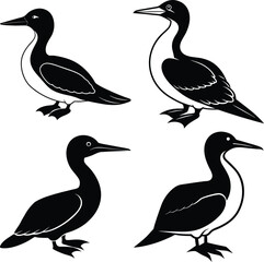 Download Gannet Silhouette Vector Icon Set Sharp & Professional.
