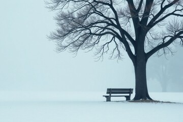 Serene Winter Scene A solitary bench rests beneath the bare branches of a majestic tree in a snow-covered landscape, a tranquil winter day.
