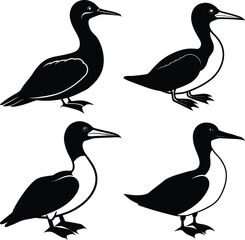 Black Gannet Bird Silhouette Vector Icon Set Crisp & Clear Design.
