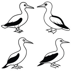 Stylized Gannet Silhouette Vector Icon Set Ideal for Logos & Artwork.