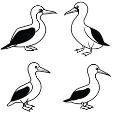 Obraz premium Stylized Gannet Silhouette Vector Icon Set Ideal for Logos & Artwork.