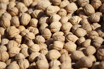 close up of whole, unshelled walnuts in the market