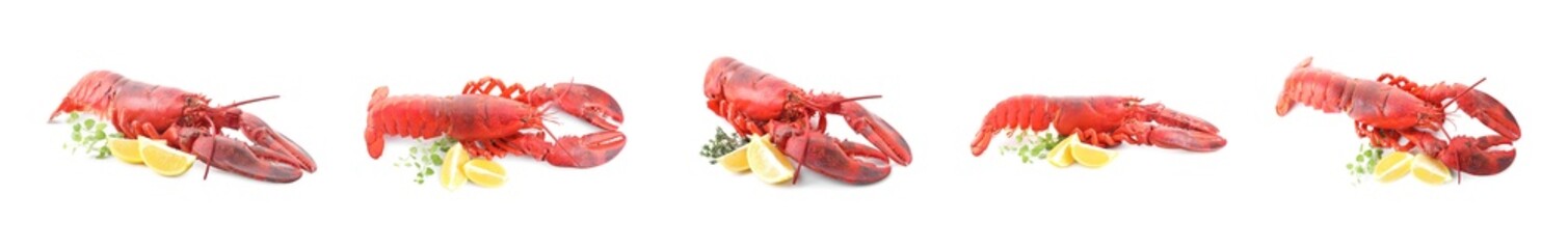 Tasty boiled lobster isolated on white, set