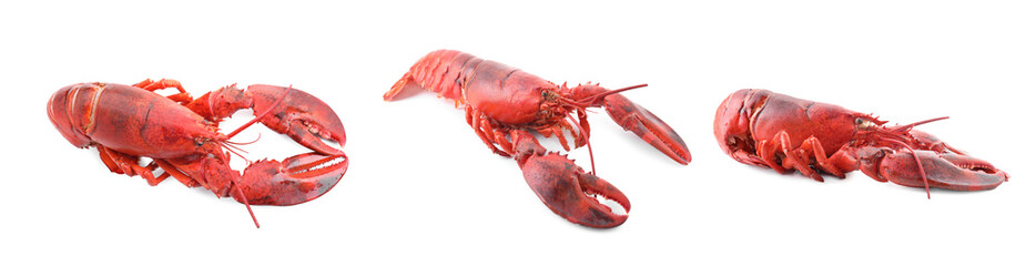 Tasty boiled lobster isolated on white, set