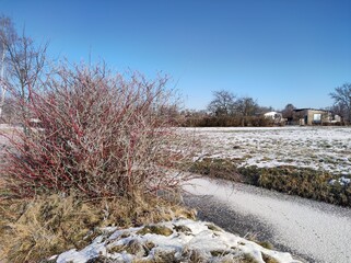Winterlandschaft mit Raureif und Schnee 