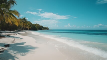 Fototapeta premium Serene Tropical Beach with Crystal Clear Waters and Palm Trees