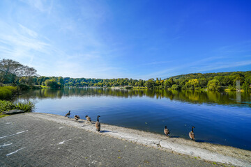 View of Lake Kemnader and the surrounding green nature in the Ruhr area. Landscape at the Ruhr...