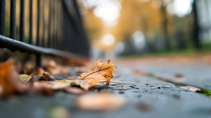 Fototapeta premium Close up view of an autumn leaf resting on a stone path surrounded by fallen leaves in a beautiful natural setting : Generative AI