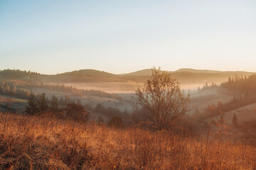 Illuminated by sunlight. Majestic view of Carpathian mountains, autumn season