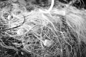 Fishing Net with Colorful Buoys