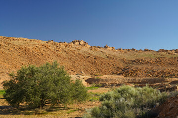 Ksar Jlalta,tipico villaggio fortificato Berbero composto da granai e abitazioni costruiti all'interno di un muro di cinta difensivo.