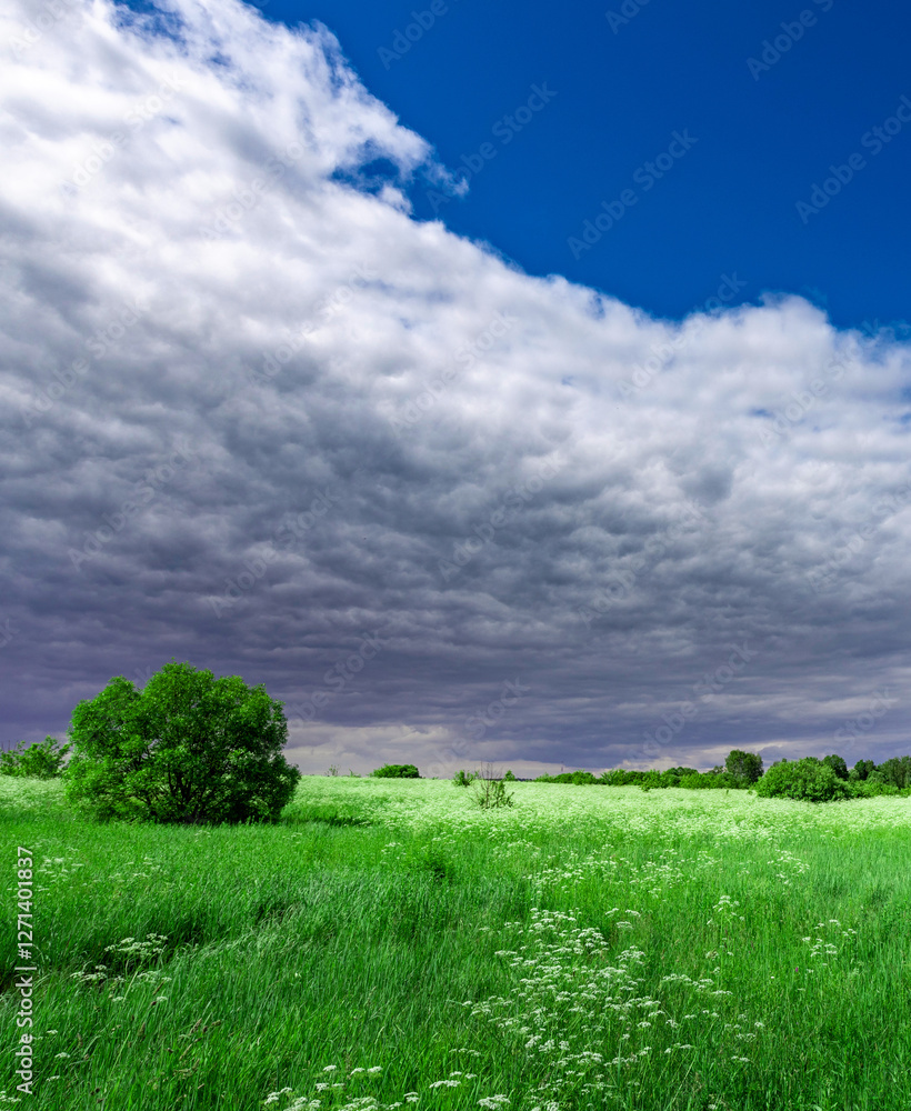 Wall mural field of grass with a tree in the middle
