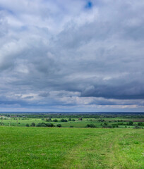 Fototapeta premium Cloudy sky with a field of grass in the background