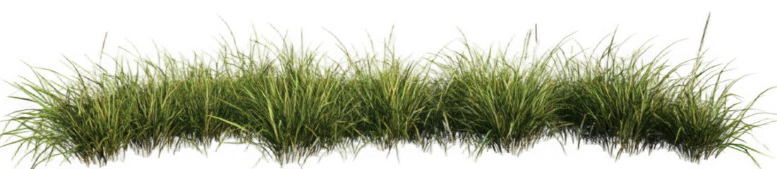grass line 2 fresh 