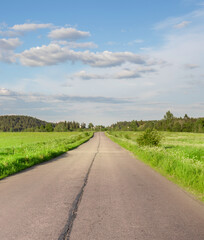 Long road with a few trees in the background