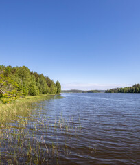 Obraz premium Calm lake with trees in the background