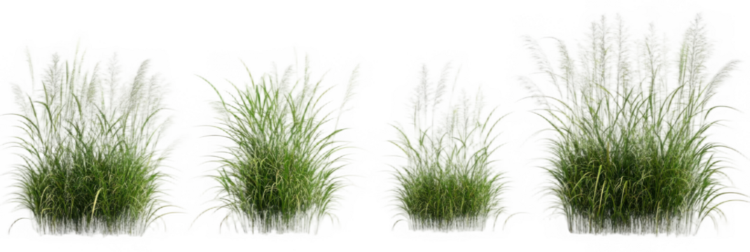 Cut out green grass field transparent backgrounds 3d rendering png file