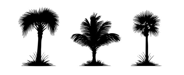 Hand Drawn Black Silhouette Trees On White Background With Detailed Leaf Patterns With Branches And Leaves Detailing