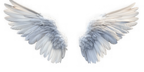 wings