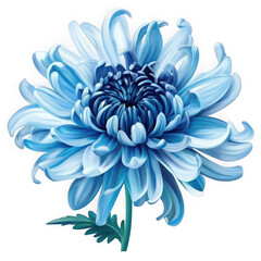 Obraz premium Blue flower isolated on white background, png with transparency