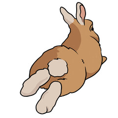 Rabbit lying on the floor. Illustration on a transparent background. The rabbit turns its tail to us