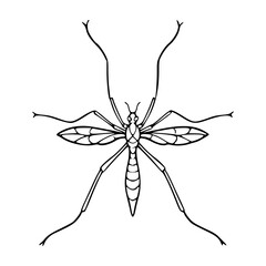 a black and white drawing of a mosquito, vector graphic for nature design