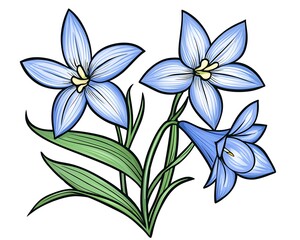 Floral illustration of light blue bell flowers on white background