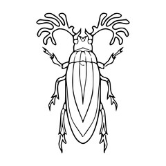 a black and white drawing of a majestic stag beetle, vector graphic for nature design