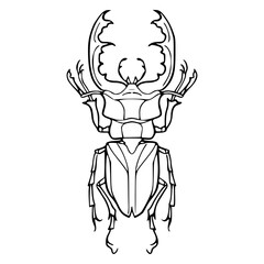 a black and white drawing of a majestic stag beetle, vector graphic for nature design