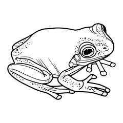 a black and white drawing of a detailed toad line art, for coloring pages