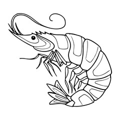 vector illustration of shrimp for coloring pages