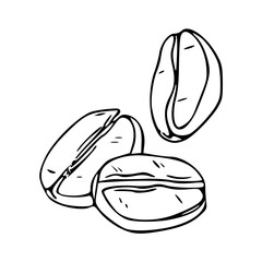 a line art drawing of a coffee seeds