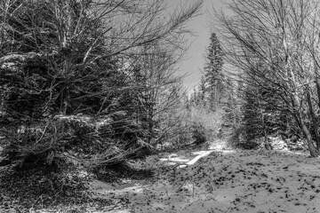 A couple of young people are walking through a field