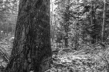 A couple of young people are walking through a field