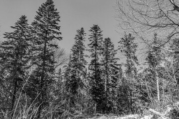 A couple of young people are walking through a field