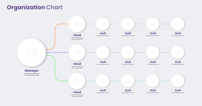 Organization structure chart infographic design template for corporate structure concept