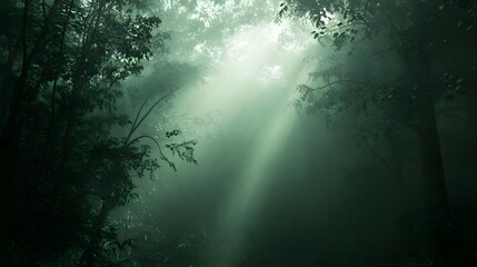 Ethereal sunlight beams filtering through a dense forest canopy, creating a mystical atmosphere