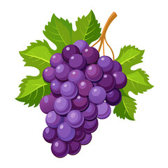 bunch of grapes isolated on transparent  white background