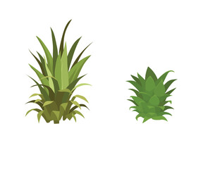 Bunch of tall green grass stock illustration