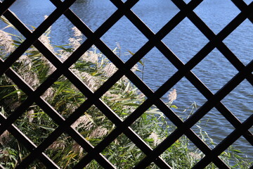 A view of lake through the fence