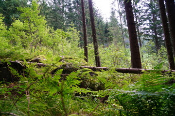 Valle Aurina or Ahrntal located in in northern Italy
