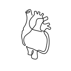 one line heart organ