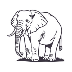 Fototapeta premium Graceful Elephant Silhouette Line Art Vector Illustration