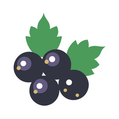 blackcurrant icon design