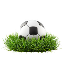 soccer ball on green grass