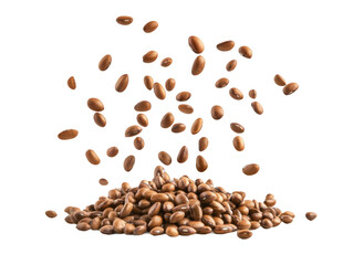 Obraz premium Falling coffee beans isolated on a transparent background 