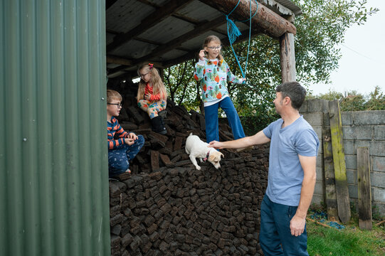 Father and Children & Dog Playing in Pile of Peat Bricks in Garden